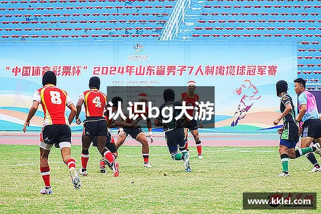 认识bg大游